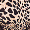 animal-print-en